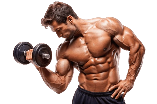 Bodybuilder 1