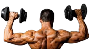 Bodybuilder 3