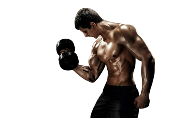 Bodybuilder 2